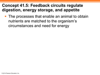 © 2014 Pearson Education, Inc.
Concept 41.5: Feedback circuits regulate
digestion, energy storage, and appetite
 The processes that enable an animal to obtain
nutrients are matched to the organism’s
circumstances and need for energy
 
