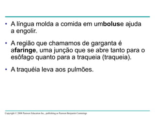 Copyright © 2008 Pearson Education Inc., publishing as Pearson Benjamin Cummings
• A língua molda a comida em umboluse ajuda
a engolir.
• A região que chamamos de garganta é
afaringe, uma junção que se abre tanto para o
esôfago quanto para a traqueia (traqueia).
• A traquéia leva aos pulmões.
 