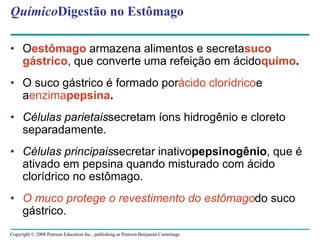 Copyright © 2008 Pearson Education Inc., publishing as Pearson Benjamin Cummings
QuímicoDigestão no Estômago
• Oestômago armazena alimentos e secretasuco
gástrico, que converte uma refeição em ácidoquimo.
• O suco gástrico é formado porácido clorídricoe
aenzimapepsina.
• Células parietaissecretam íons hidrogênio e cloreto
separadamente.
• Células principaissecretar inativopepsinogênio, que é
ativado em pepsina quando misturado com ácido
clorídrico no estômago.
• O muco protege o revestimento do estômagodo suco
gástrico.
 