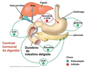 Controle
hormonal
da digestão
Secretina
e CCK
Estômago
Vesícula biliar
Fígado
+
Duodeno
de
intestino delgado
Bílis
gastrina
Secretina
pâncreas
CCK
CCK
Chave
Estimulação
Inibição
+
–
+
+
+ –
 