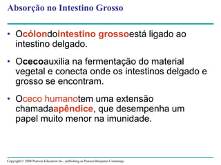 Copyright © 2008 Pearson Education Inc., publishing as Pearson Benjamin Cummings
Absorção no Intestino Grosso
• Ocólondointestino grossoestá ligado ao
intestino delgado.
• Ocecoauxilia na fermentação do material
vegetal e conecta onde os intestinos delgado e
grosso se encontram.
• Oceco humanotem uma extensão
chamadaapêndice, que desempenha um
papel muito menor na imunidade.
 