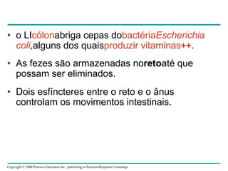 Copyright © 2008 Pearson Education Inc., publishing as Pearson Benjamin Cummings
• o LIcólonabriga cepas dobactériaEscherichia
coli,alguns dos quaisproduzir vitaminas++.
• As fezes são armazenadas noretoaté que
possam ser eliminados.
• Dois esfíncteres entre o reto e o ânus
controlam os movimentos intestinais.
 