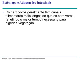 Copyright © 2008 Pearson Education Inc., publishing as Pearson Benjamin Cummings
Estômago e Adaptações Intestinais
• Os herbívoros geralmente têm canais
alimentares mais longos do que os carnívoros,
refletindo o maior tempo necessário para
digerir a vegetação.
 