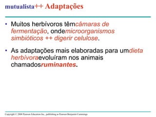 Copyright © 2008 Pearson Education Inc., publishing as Pearson Benjamin Cummings
mutualista++ Adaptações
• Muitos herbívoros têmcâmaras de
fermentação, ondemicroorganismos
simbióticos ++ digerir celulose.
• As adaptações mais elaboradas para umdieta
herbívoraevoluíram nos animais
chamadosruminantes.
 