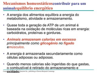 Copyright © 2008 Pearson Education Inc., publishing as Pearson Benjamin Cummings
Mecanismos homeostáticoscontribuir para um
animalequilíbrio energético
• A energia dos alimentos equilibra a energia do
metabolismo, atividade e armazenamento.
• Quase toda a geração de ATP de um animal é
baseada na oxidação de moléculas ricas em energia:
carboidratos, proteínas e gorduras.
• Animais armazenam calorias em excesso
principalmente como glicogênio no fígado
emúsculos.
• A energia é armazenada secundariamente como
células adiposas ou adiposas.
• Quando menos calorias são ingeridas do que gastas,
o combustível é retirado do armazenamento e
oxidado.
 