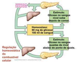 Regulação
homeostática
do
combustível
celular
Homeostase:
90 mg de glicose/
100 ml de sangue
Estímulo:
Glicose no sangue
nível sobe
depois de comer.
Estímulo:
Glicose no sangue
quedas de nível
abaixo do ponto de ajuste.
 