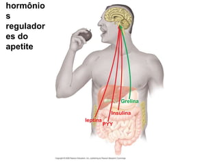 hormônio
s
regulador
es do
apetite
leptina
PYY
Insulina
Grelina
 