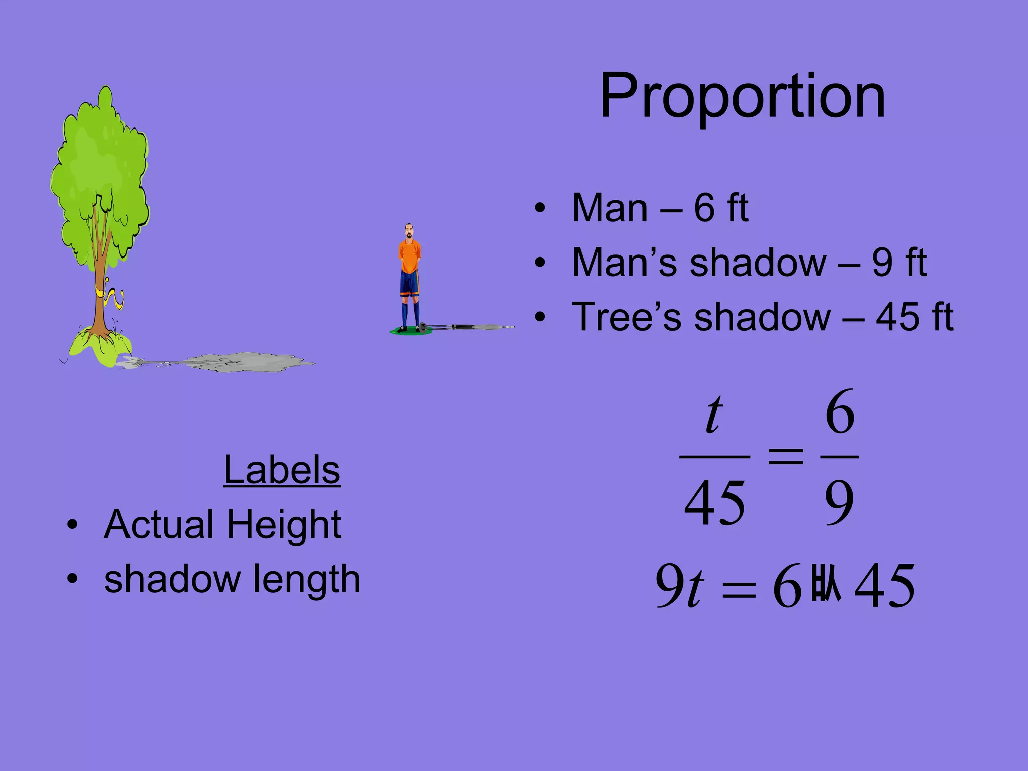 Proportion Man – 6 ft Man’s shadow – 9 ft Tree’s shadow – 45 ft Labels Actual Height shadow length