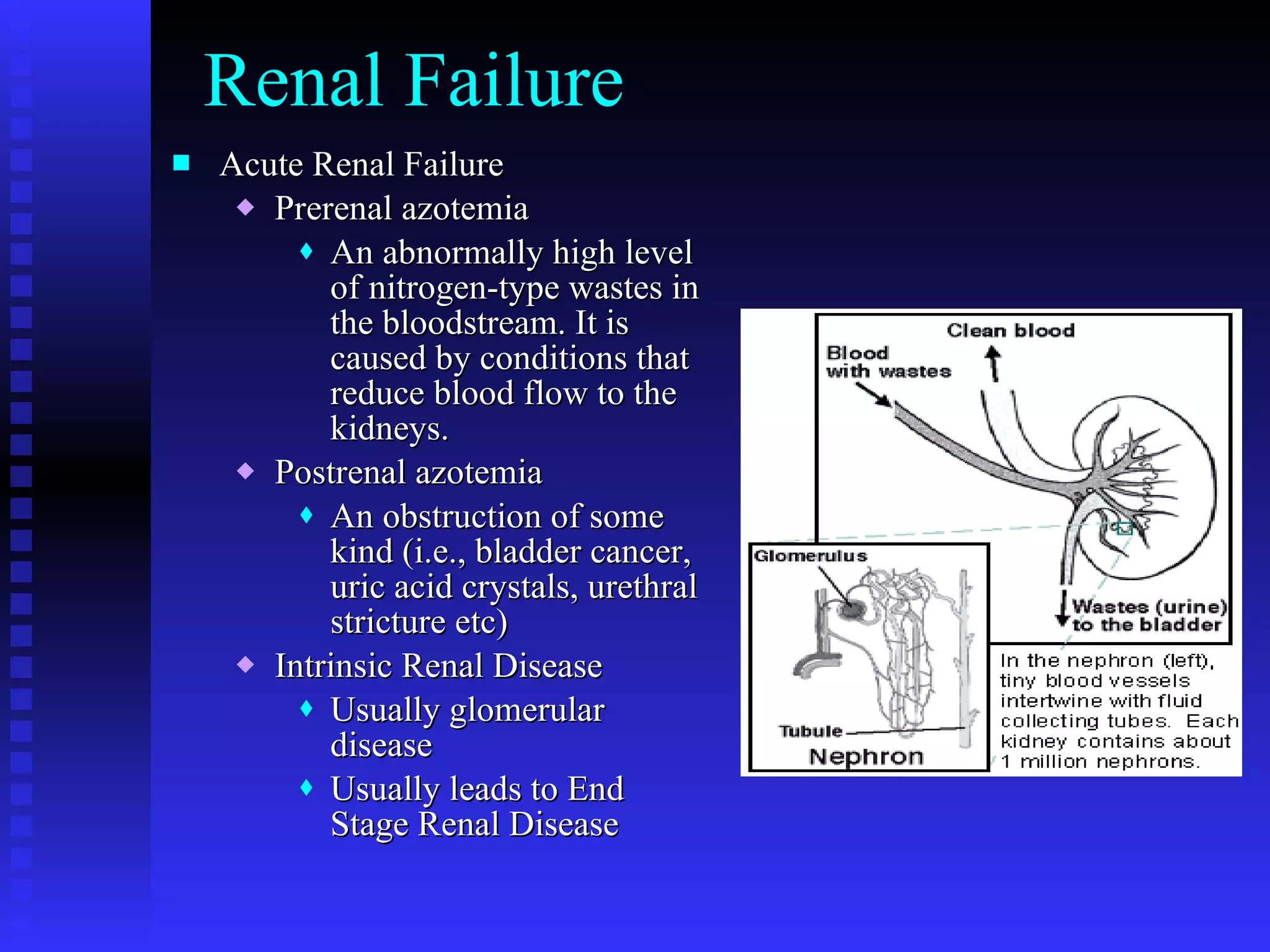 Renal Failure Acute Renal Failure Prerenal azotemia An abnormally high level of nitrogen-type wastes in the bloodstream. It is caused by conditions that reduce blood flow to the kidneys. Postrenal azotemia An obstruction of some kind (i.e., bladder cancer, uric acid crystals, urethral stricture etc) Intrinsic Renal Disease Usually glomerular disease Usually leads to End Stage Renal Disease 