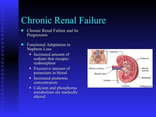 Chronic Renal Failure Chronic Renal Failure and Its Progression Functional Adaptation to Nephron Loss Increased amount of sodium that escapes reabsorption Excessive amount of potassium in blood Increased ammonia concentration Calcium and phosphorus metabolism are markedly altered 