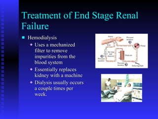 Treatment of End Stage Renal Failure Hemodialysis Uses a mechanized filter to remove impurities from the blood system Essentially replaces kidney with a machine Dialysis usually occurs a couple times per week. 