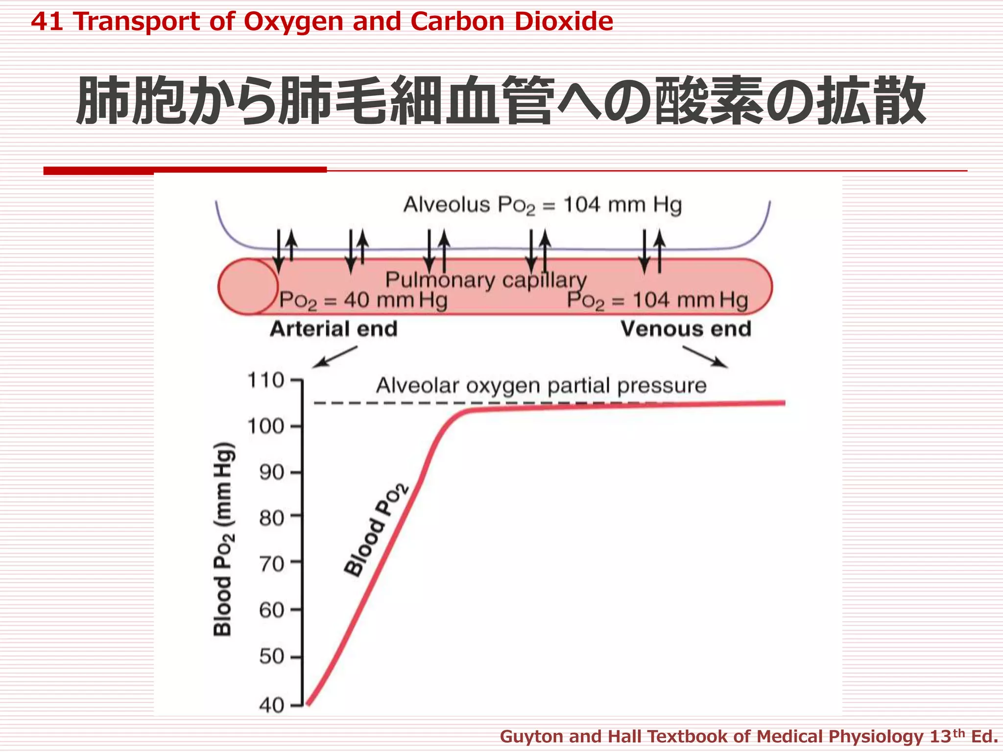 41 transport of o2 and co2 in blood and tissue fluids | PPTX