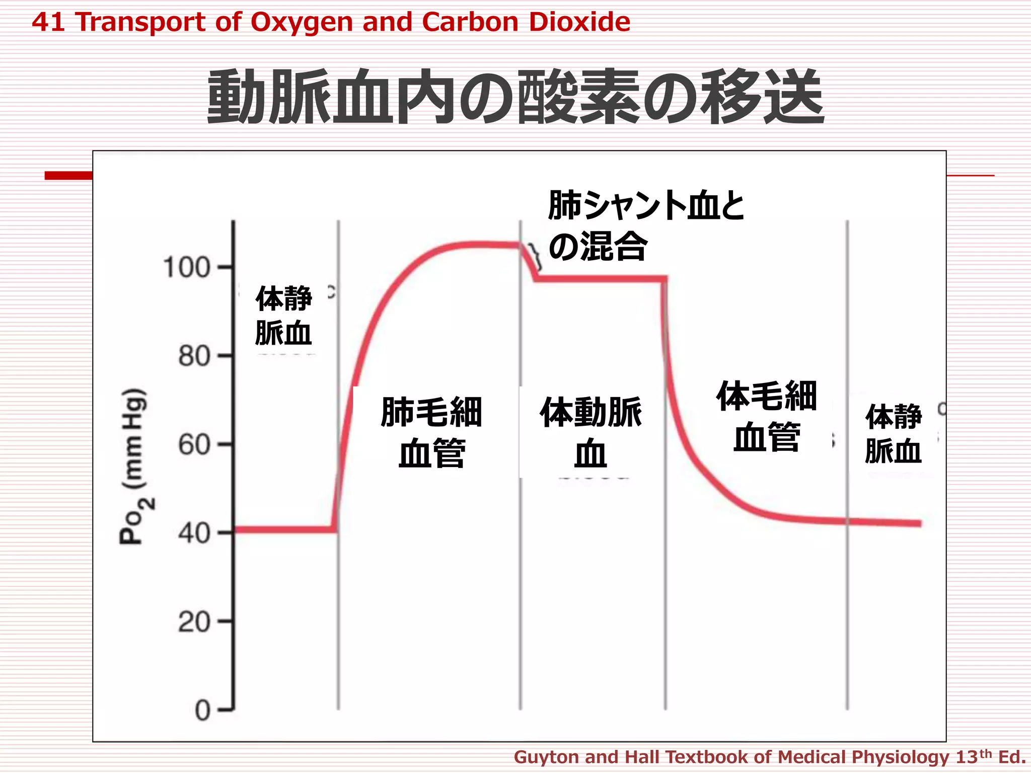 41 transport of o2 and co2 in blood and tissue fluids | PPTX