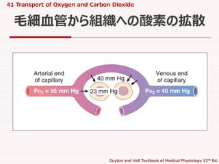 41 transport of o2 and co2 in blood and tissue fluids | PPTX