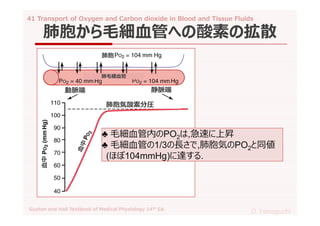 41 transport of oxygen and carbon dioxide in blood and tissue fluids ...
