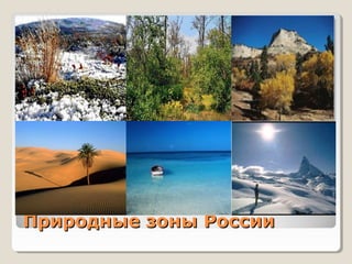 Природные зоны РоссииПриродные зоны России
 