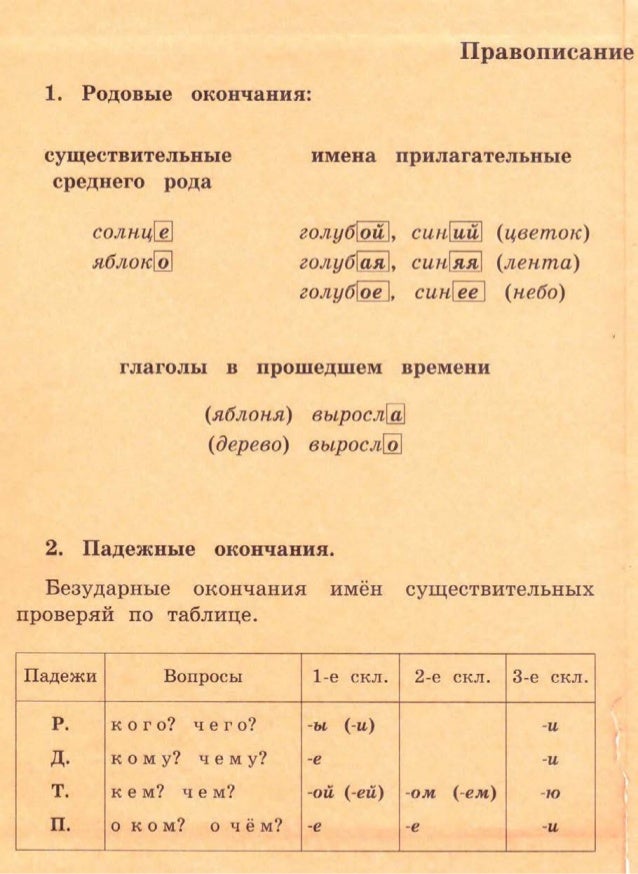 домашняя работа по русскому языку 4 класс зеленина хохлова учебник