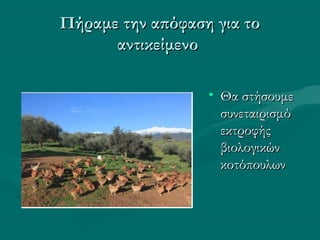 Πήραμε την απόφαση για τοΠήραμε την απόφαση για το
αντικείμενοαντικείμενο
• Θα στήσουμεΘα στήσουμε
συνεταιρισμόσυνεταιρισμό
εκτροφήςεκτροφής
βιολογικώνβιολογικών
κοτόπουλωνκοτόπουλων
 