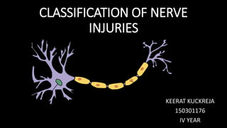 Nerve Injuries Classification CLASSIFICATION OF NERVE INJURIES | PPTX
