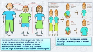 5
како наслеђујемо особине родитеља логично
је да личимо по неким особинама на тату,
а по другим на маму и дешава се да до
изражаја дође и нека особина нпр прадеде,
која се није испољила у претходним генерацијама
на изглед и понашање поред
наслеђа свакако утиче и начин
живота
 