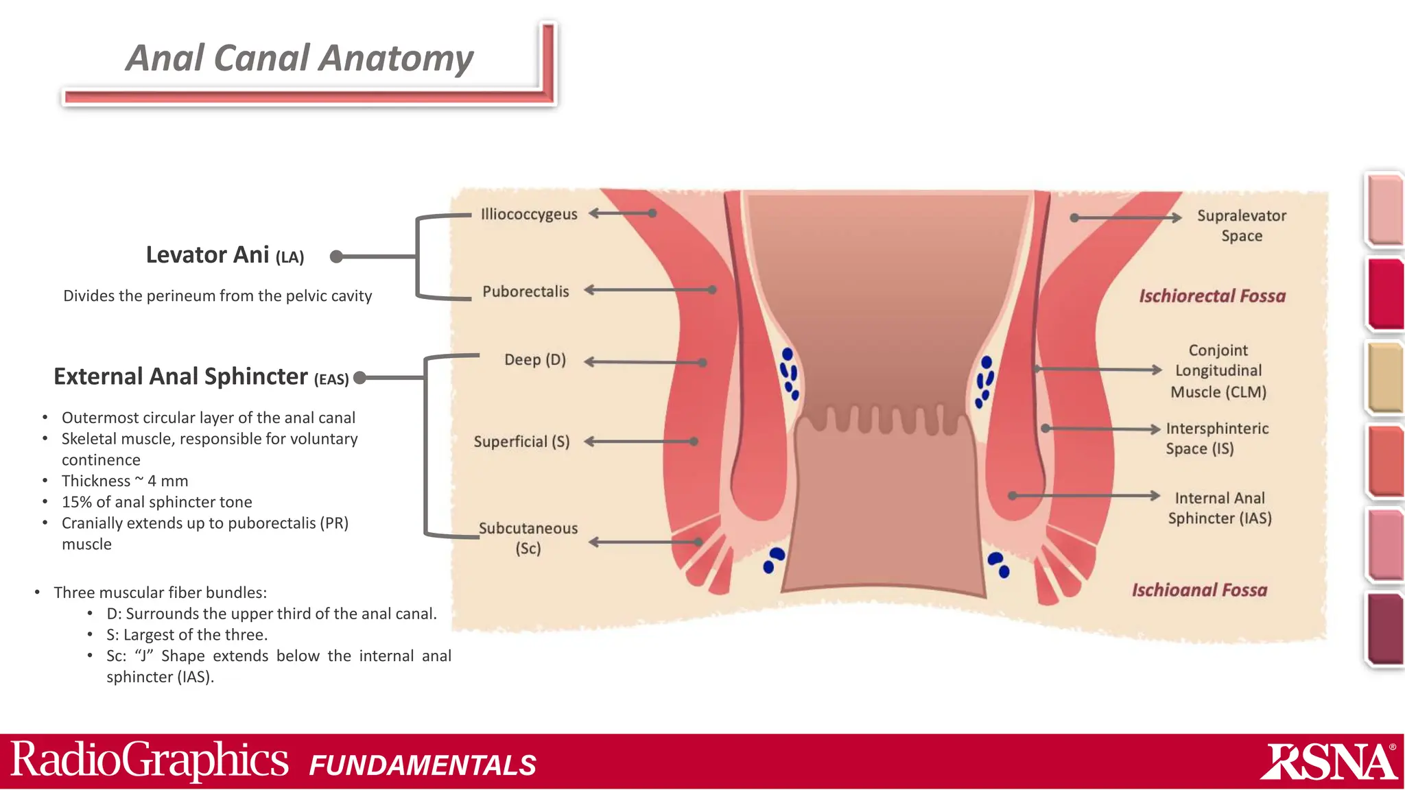 Perianal Fistula And Abscess pptx perianal-fistula-and-abscess-pptx