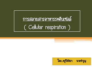 การสลายสารอาหารระดับเซลล์
( Cellular respiration )
โดย..ครูปินัชยา นาคจารูญ
 