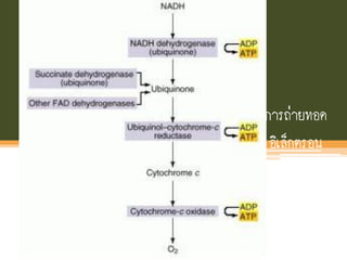 การถ่ายทอด
อิเล็กตรอน
 
