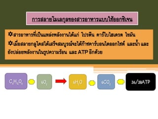 การสลายโมเลกุลของสารอาหารแบบใช้ออกซิเจน
สารอาหารที่เป็นแหล่งพลังงานได้แก่ โปรตีน คาร์โบไฮเดรต ไขมัน
เมื่อสลายกลูโคสได้เสร็จสมบูรณ์จะได้ก๊าซคาร์บอนไดออกไซด์ และนาและ
ยังปล่อยพลังงานในรูปความร้อน และ ATPอีกด้วย
C6H12O6 6O2 6H2O 6CO2 36/38ATP
 