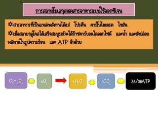 การสลายโมเลกุลของสารอาหารแบบใช้ออกซิเจน
สารอาหารที่เป็นแหล่งพลังงานได้แก่ โปรตีน คาร์โบไฮเดรต ไขมัน
เมื่อสลายกลูโคสได้เสร็จสมบูรณ์จะได้ก๊าซคาร์บอนไดออกไซด์ และนา และยังปล่อย
พลังงานในรูปความร้อน และ ATP อีกด้วย
C6H12O6 6O2 6H2O 6CO2 36/38ATP
 