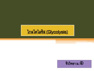 ไกลโคไลซิส(Glycolysis)
ชีววิทยาม.
 