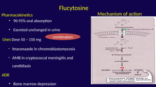 agent to reduce fungal growth and its type with mechanism of action and ...