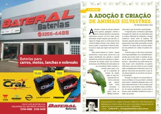 BANHO E TOSA VIGIADOS
     A ADOÇÃO E CRIAÇÃO
     DE ANIMAIS SILVESTRES.                                                   Por Ricardo Antônio Silva




     A
             adoção e criação de animais silvestres       ções sobre o tipo de animal comercializado.
             como iguanas, papagaios, aranhas e                 O segundo passo contempla a apreciação
             jabutis, sempre despertou nas pessoas        do projeto de criação por um especialista, pois
     sentimentos curiosos. Uns tem medo, outros           os critérios referentes às instalações e manejo
     admiração; existem aqueles que não têm co-           zootécnico variam entre as espécies. Por
     ragem de chegar perto ou ainda quem faz do           exemplo: segundo alerta emitido pelo IBAMA,
     comércio desses animais o seu sustento. Inte-        apenas áreas rurais estão autorizadas a manter
     resses a parte, o importante é estarmos aten-        ‘’criatórios’’ de cobras, assim, na teoria, serpen-
     tos para as regras que regem esse tipo de ati-       tes não poderiam ser criadas em prédios resi-
     vidade.                                              denciais.
         Todo animal silvestre ou ‘‘nativo’’ - aquele           O terceiro passo, e não menos importante,
     pertencente a nossa fauna, precisa ter a sua         é ter responsabilidade com a atividade desen-
     origem identificada. Isso permite o controle         volvida, pois muitas vezes a condição de saú-
     estimado do número de indivíduos e o desen-          de do animal é duvidosa e requer cuidados
     volvimento de estudos acerca da ocorrência           técnicos - vale lembrar que vários desses ani-
     de doenças e da influência de cada espécie no        mais atuam como reservatórios de agentes
               seu ecossistema. Neste contexto, o         infecciosos e que nem todos os riscos à saúde
                         primeiro passo para a cria-      estão completamente esclarecidos; que as exi-
                             ção é a aquisição de         gências nutricionais são peculiares; e que vá-
                               animais de origem          rias dessas espécies se encontram em proces-
                                 legal, ou seja, pro-     so de extinção.
                                   venientes de cria-           Portanto, ao adquirir um animal desta na-
                                    tórios comerciais     tureza certifique-se de que existem condições
                                     que      emitam      para prover o ambiente adequado para o seu
                                     notas      fiscais   pleno desenvolvimento e não se esqueça que,
                                      constando o         desta forma, você também estará contribuin-
                                     número de re-        do, de maneira significativa, na luta contra a
                                   gistro junto ao        terceira maior atividade clandestina do país, o
                                   IBAMA e informa-       tráfico de animais.




                         Ricardo Antonio Silva é Médico Veterinário CRMV/GO Nº 5283, Especialista e
                         Mestrando em Ciência Animal. Atua como Fiscal Estadual Agropecuário da
                         Agência Goiana de Defesa Agropecuária – AGRODEFESA.
                         Contato:    61 9261-2778 ou revistaposiatividade@yahoo.com.br

32                                                                                                              33
 