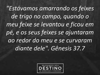 "Estávamos amarrando os feixes
de trigo no campo, quando o
meu feixe se levantou e ficou em
pé, e os seus feixes se ajuntaram
ao redor do meu e se curvaram
diante dele". Gênesis 37.7
 