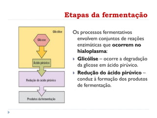 Etapas da fermentação
Os processos fermentativos
envolvem conjuntos de reações
enzimáticas que ocorrem no
hialoplasma:
 Glicólise – ocorre a degradação
da glicose em ácido pirúvico.
 Redução do ácido pirúvico –
conduz à formação dos produtos
de fermentação.
 