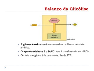 Balanço da Glicólise
 A glicose é oxidada e formam-se duas moléculas de ácido
pirúvico.
 O agente oxidante é o NAD+ que é transformado em NADH.
 O saldo energético é de duas moléculas de ATP.
 