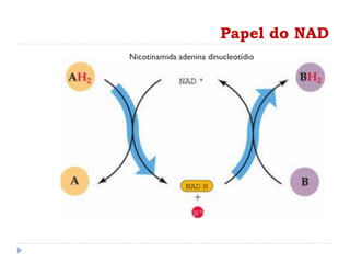 Papel do NAD
Nicotinamida adenina dinucleotídio
 