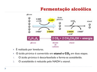 Fermentação alcoólica
 É realizada por leveduras.
 O ácido pirúvico é convertido em etanol e CO2 em duas etapas.
1. O ácido pirúvico é descarboxilado e forma-se acetaldeído.
2. O acetaldeído é reduzido pelo NADH a etanol.
 