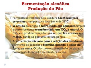  Fermentação realizada pela levedura Saccharomyces
cerevisiae a temperatura favorável é de 36ºC.
 O amido da farinha é hidrolisado em açúcares simples
e posteriormente transformado em CO2 e etanol. O
CO2 é o produto desejado, uma vez que faz crescer a
massa, dando ao pão uma textura porosa.
 A fermentação inicia-se com a adição das leveduras
(fermento de padeiro) e termina quando o calor do
forno as mata. O calor provoca a expansão do gás, a
evaporação do álcool e dá estrutura ao pão.
Fermentação alcoólica
Produção do Pão
 