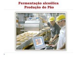 Fermentação alcoólica
Produção do Pão
 