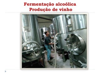 Fermentação alcoólica
Produção de vinho
 
