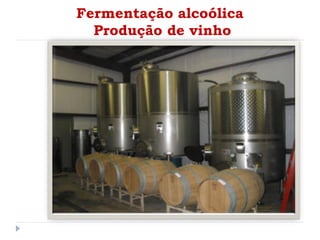 Fermentação alcoólica
Produção de vinho
 