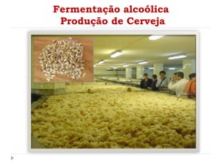 Fermentação alcoólica
Produção de Cerveja
 