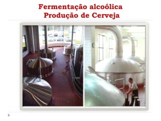 Fermentação alcoólica
Produção de Cerveja
 