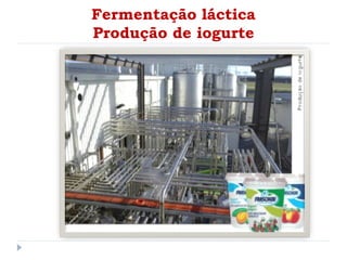 Fermentação láctica
Produção de iogurte
 
