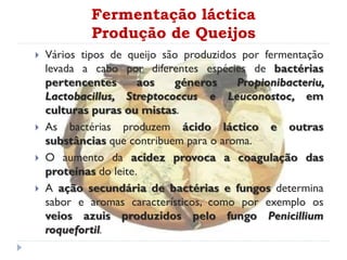 Fermentação láctica
Produção de Queijos
 Vários tipos de queijo são produzidos por fermentação
levada a cabo por diferentes espécies de bactérias
pertencentes aos géneros Propionibacteriu,
Lactobacillus, Streptococcus e Leuconostoc, em
culturas puras ou mistas.
 As bactérias produzem ácido láctico e outras
substâncias que contribuem para o aroma.
 O aumento da acidez provoca a coagulação das
proteínas do leite.
 A ação secundária de bactérias e fungos determina
sabor e aromas característicos, como por exemplo os
veios azuis produzidos pelo fungo Penicillium
roquefortil.
 