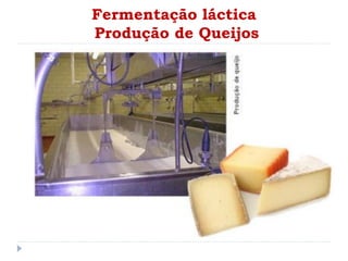 Fermentação láctica
Produção de Queijos
 