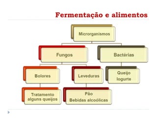 Fermentação e alimentos
 