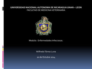 UNIVERSIDAD NACIONAL AUTONOMA DE NICARAGUA UNAN – LEON 
FACULTAD DE MEDICINA VETERINARIA 
Modulo: Enfermedades Infecciosas. 
Wilfredo Tórrez Luna 
20 de Octubre 2014 
20 
 