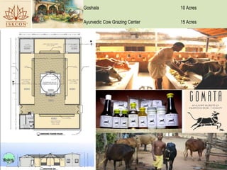 Goshala 10 Acres
Ayurvedic Cow Grazing Center 15 Acres
 