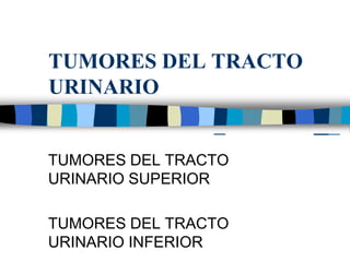 TUMORES DEL TRACTO
URINARIO
TUMORES DEL TRACTO
URINARIO SUPERIOR
TUMORES DEL TRACTO
URINARIO INFERIOR
 